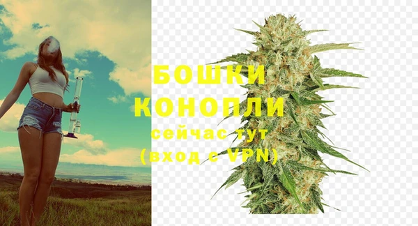 марки lsd Новозыбков