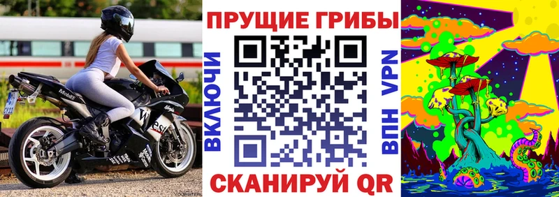 Псилоцибиновые грибы прущие грибы  Ивдель 