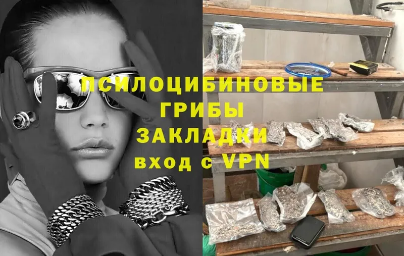 Галлюциногенные грибы ЛСД  Ивдель 