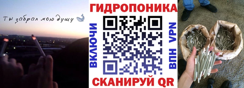 это Telegram Ивдель Шишки марихуана Bruce Banner кракен зеркало